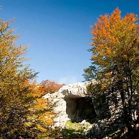 Etxegorri فندق 3*