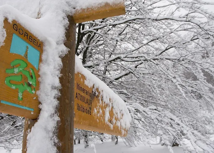 Etxegorri Hotel Orozko